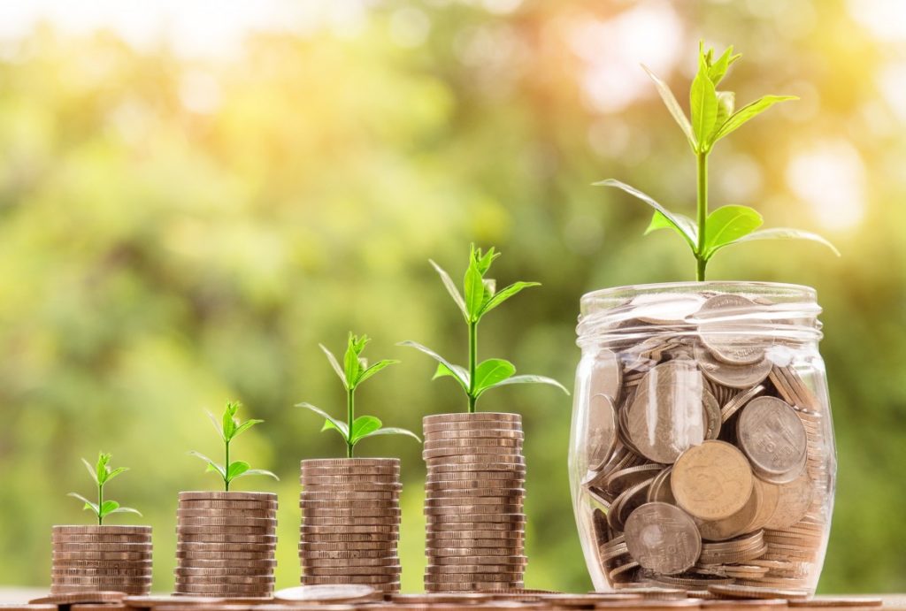 money tree growth