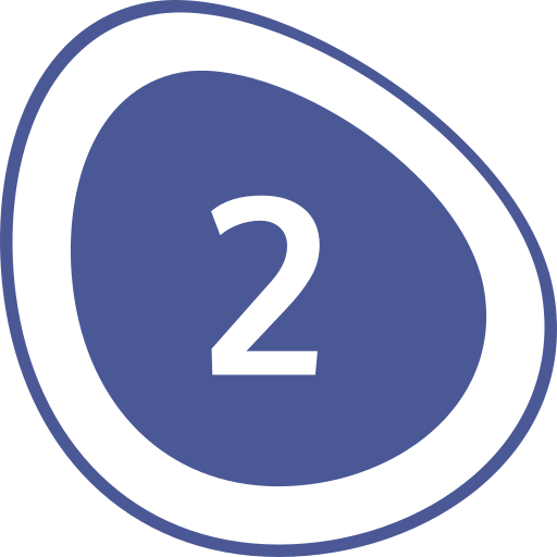 Connect & Launch